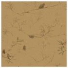 COASTAL BANKSIA II in Tawny