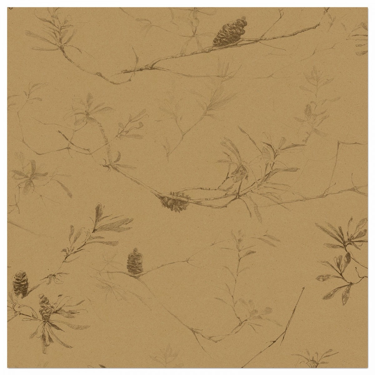 COASTAL BANKSIA II in Tawny