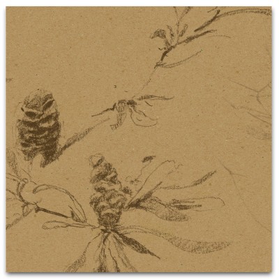 COASTAL BANKSIA II in Tawny COASTAL BANKSIA II in Tawny