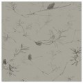 COASTAL BANKSIA II in Soot