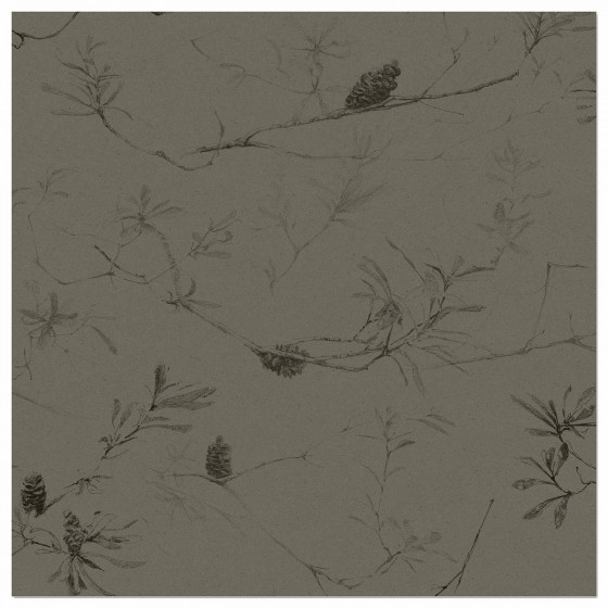 COASTAL BANKSIA II in Davy's Grey