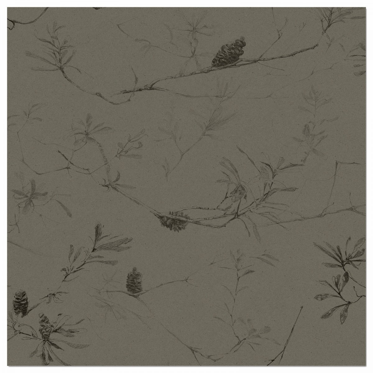 COASTAL BANKSIA II in Davy's Grey