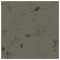 COASTAL BANKSIA II in Davy's Grey