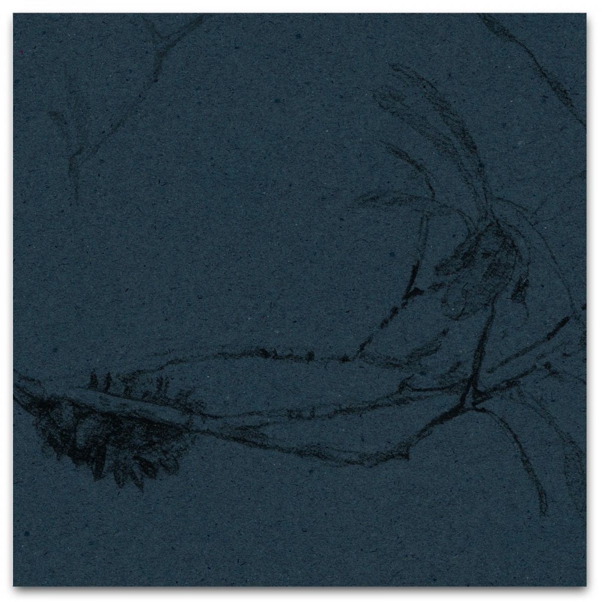 COASTAL BANKSIA II in Phthalo Blue