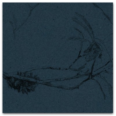 COASTAL BANKSIA II in Phthalo Blue COASTAL BANKSIA II in Phthalo Blue