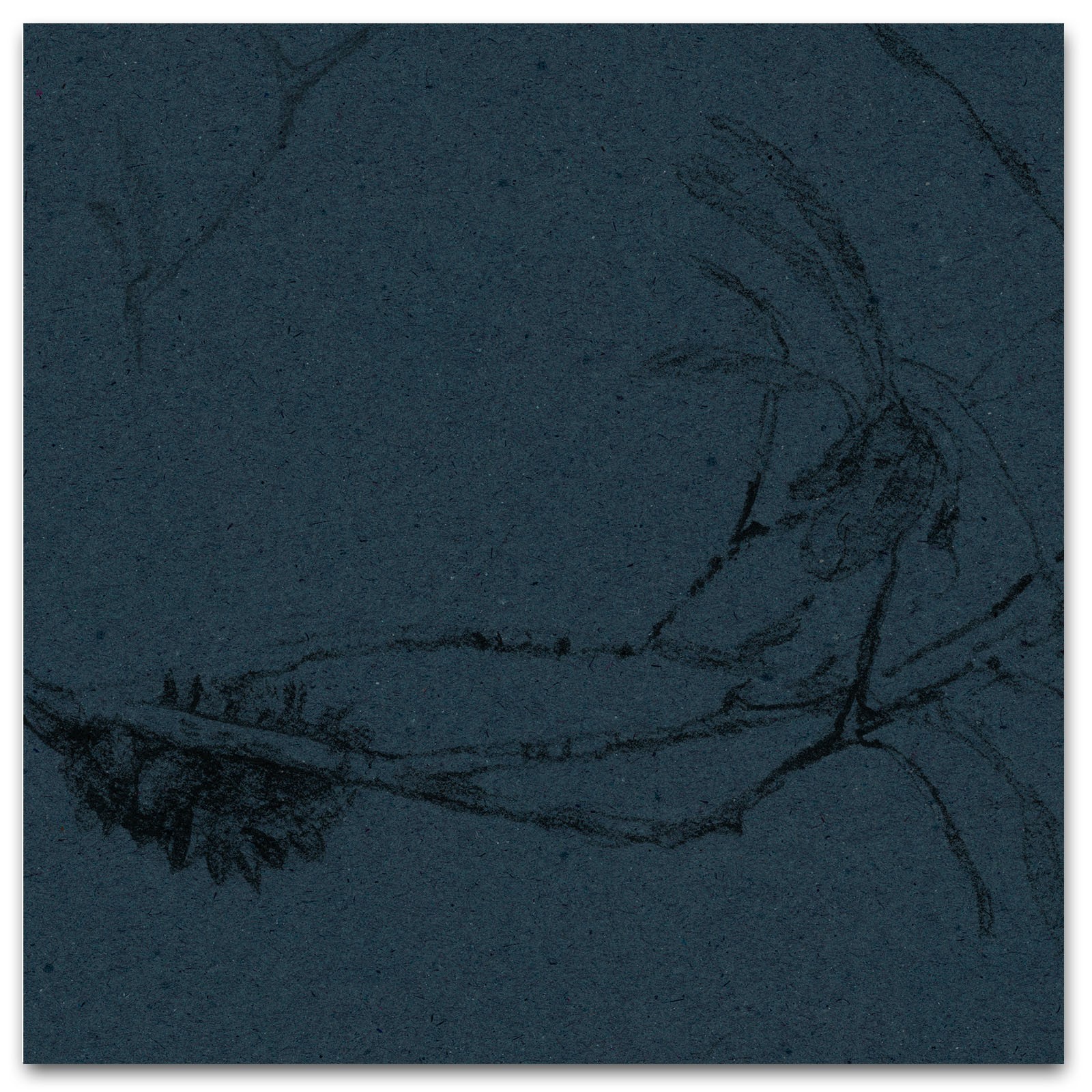 COASTAL BANKSIA II in Phthalo Blue