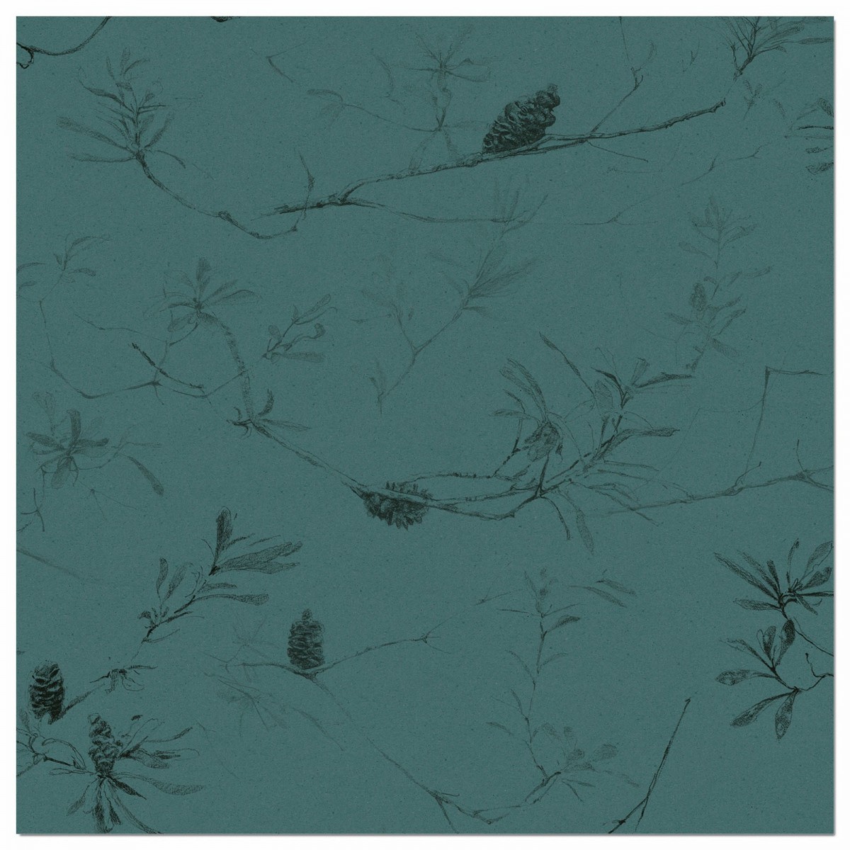 COASTAL BANKSIA II in Cadet Blue