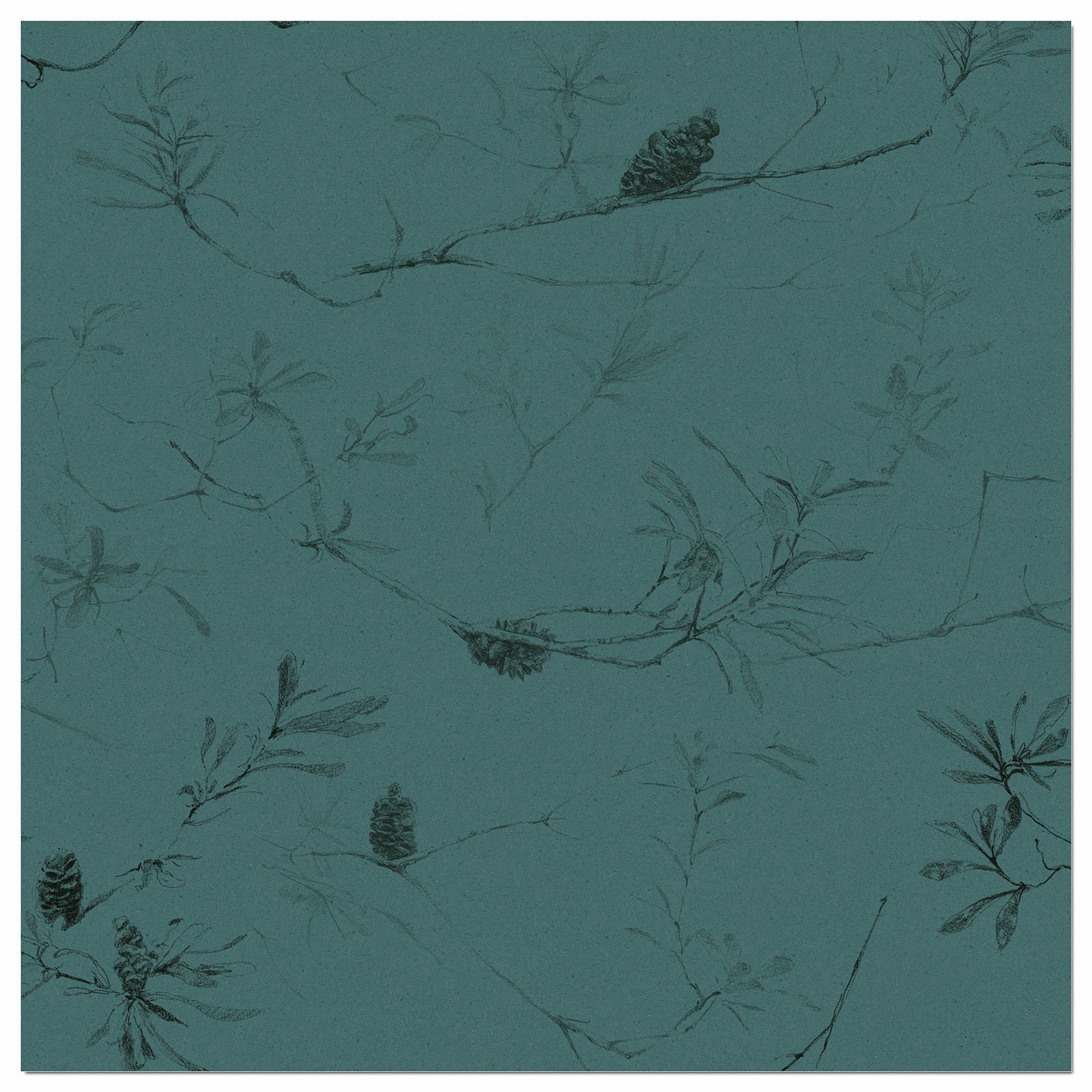 COASTAL BANKSIA II in Cadet Blue