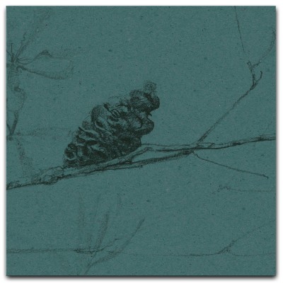 COASTAL BANKSIA II in Cadet Blue COASTAL BANKSIA II in Cadet Blue