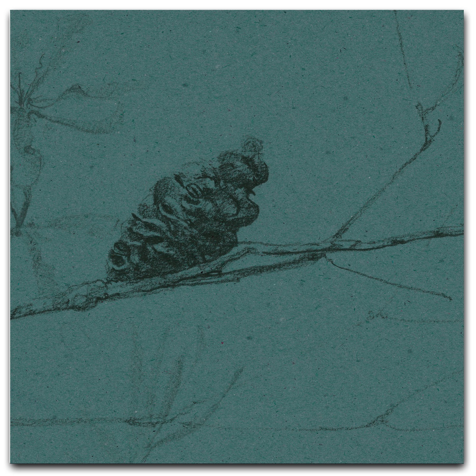 COASTAL BANKSIA II in Cadet Blue