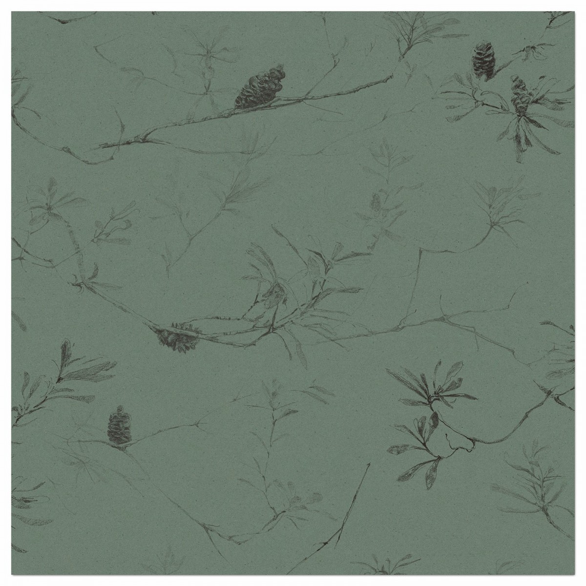 COASTAL BANKSIA II in Gumleaf