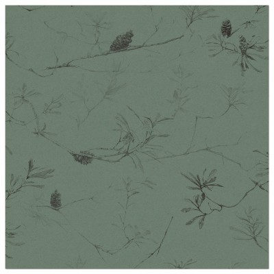 COASTAL BANKSIA II in Gumleaf COASTAL BANKSIA II in Gumleaf