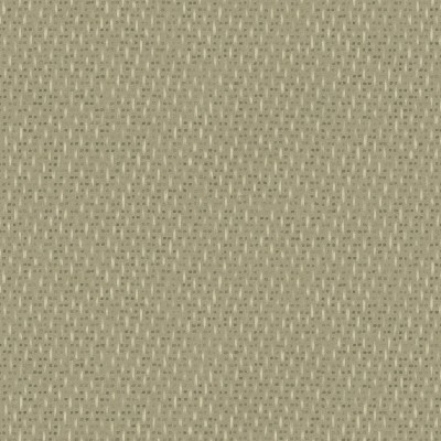 TUFT in Spinney TUFT in Spinney