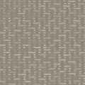 SCREE in Thicket SCREE in Thicket