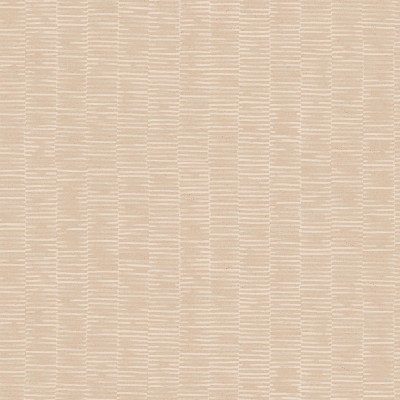 RILL in Reed RILL in Reed