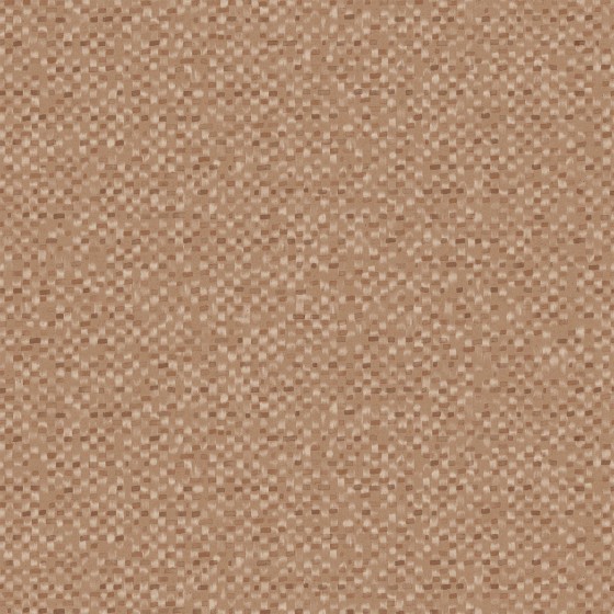 FLECK in Fox