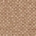 FLECK in Fox FLECK in Fox