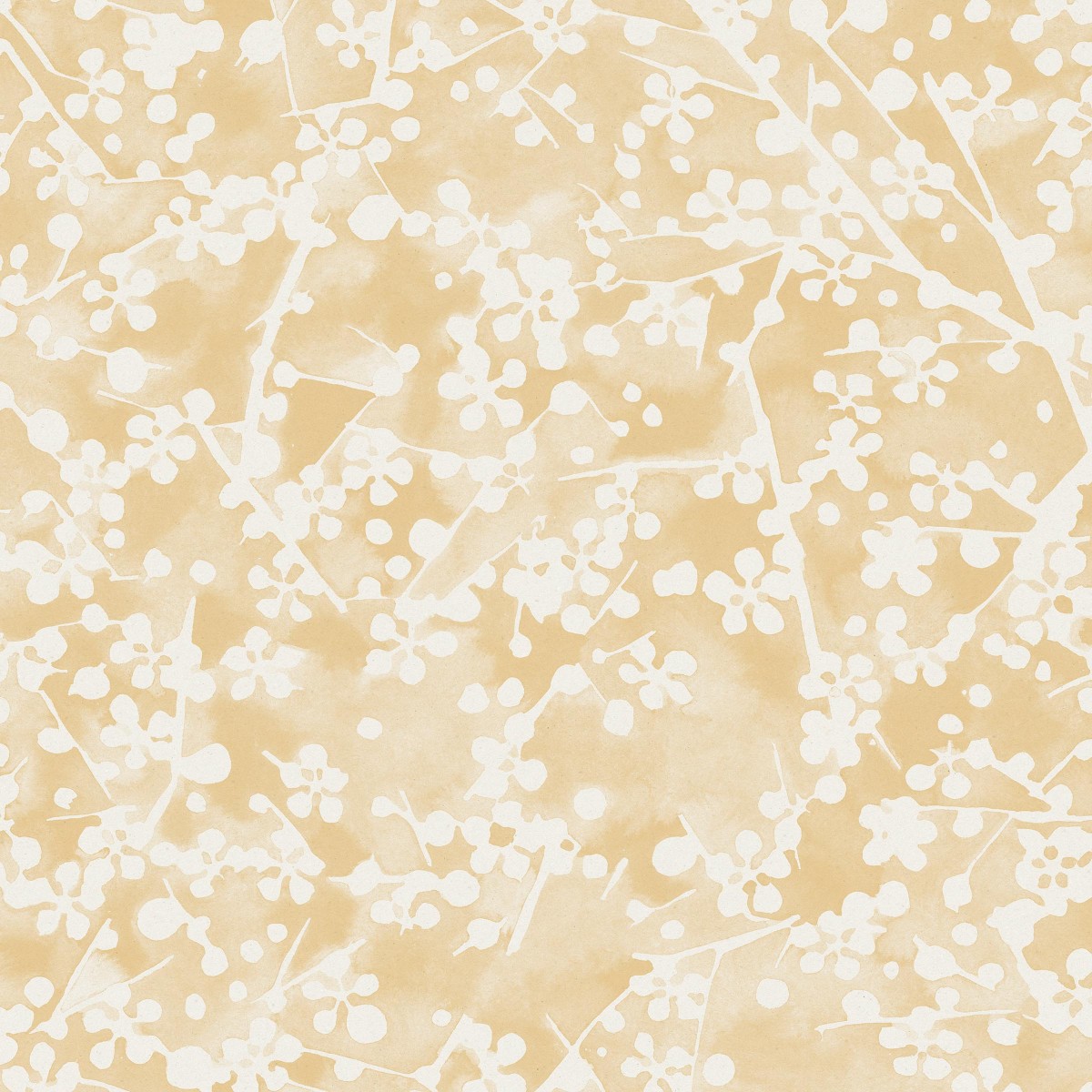 SUNLIT in Akino Yellow