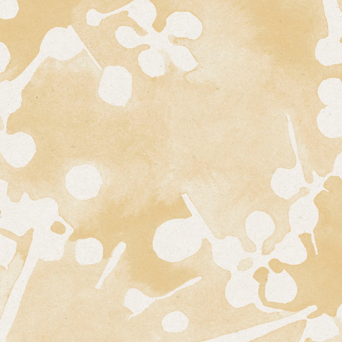 SUNLIT in Akino Yellow