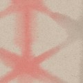 MORPH in Coral Pink MORPH in Coral Pink