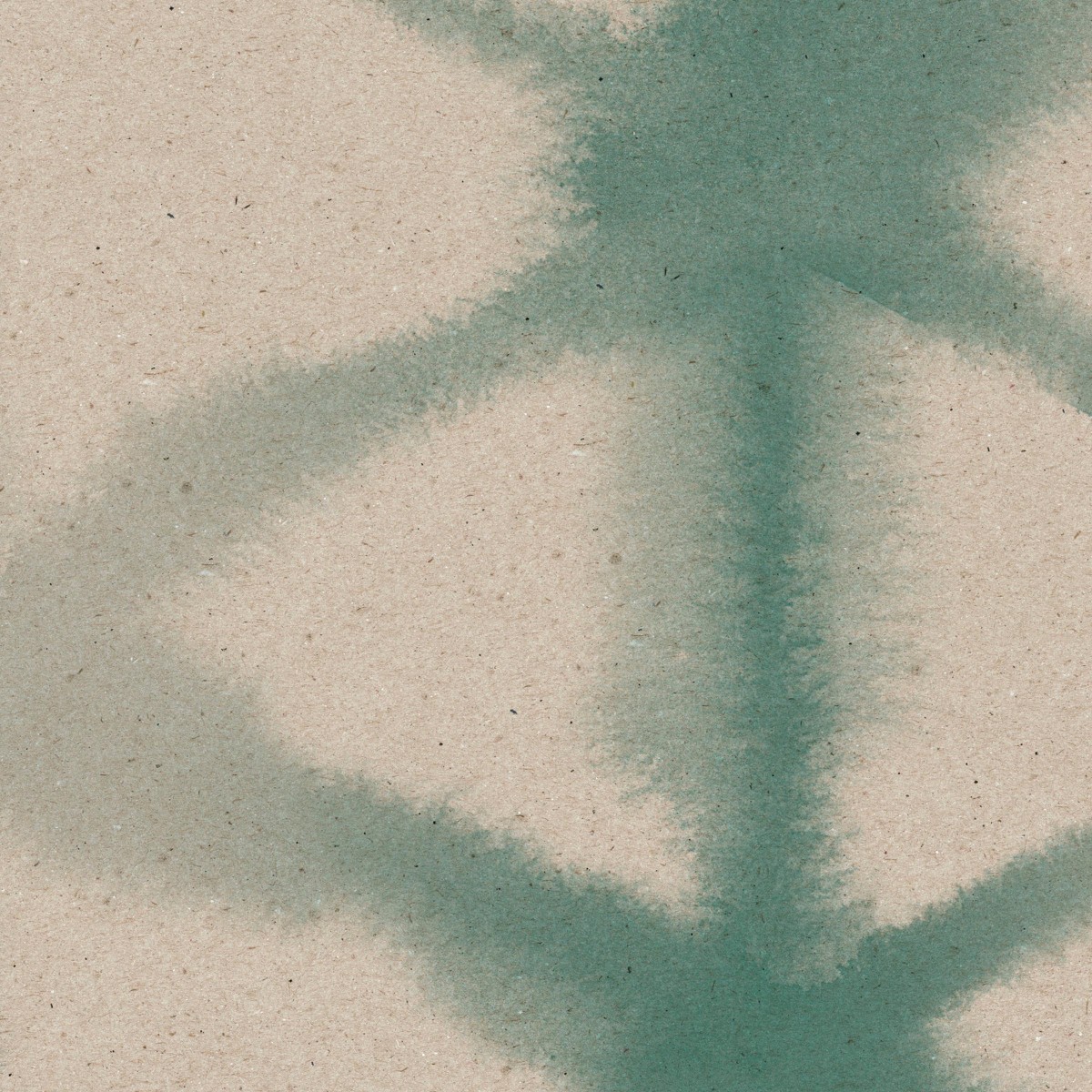 MORPH in Water Green