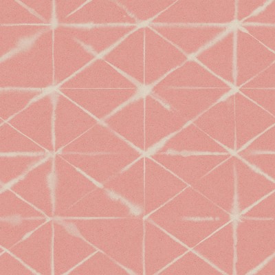 LINEA in Coral Pink LINEA in Coral Pink