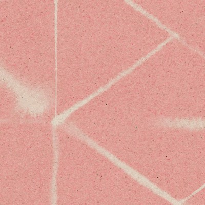 LINEA in Coral Pink LINEA in Coral Pink