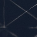 LINEA in Navy LINEA in Navy