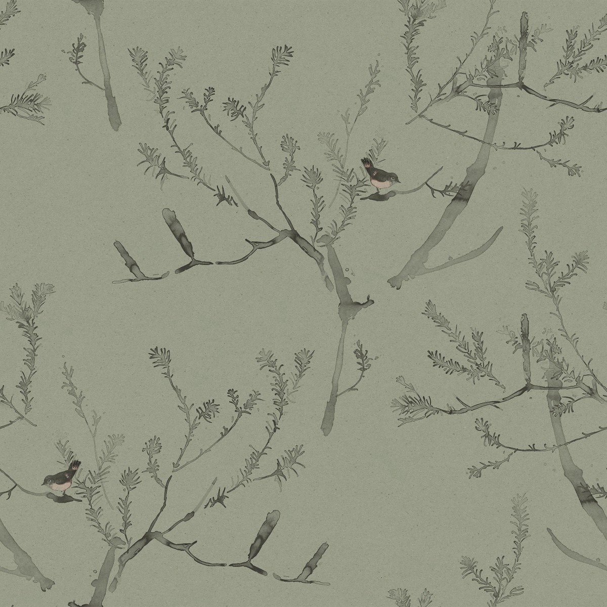 HEATH BANKSIA in Tea Green