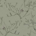HEATH BANKSIA in Tea Green