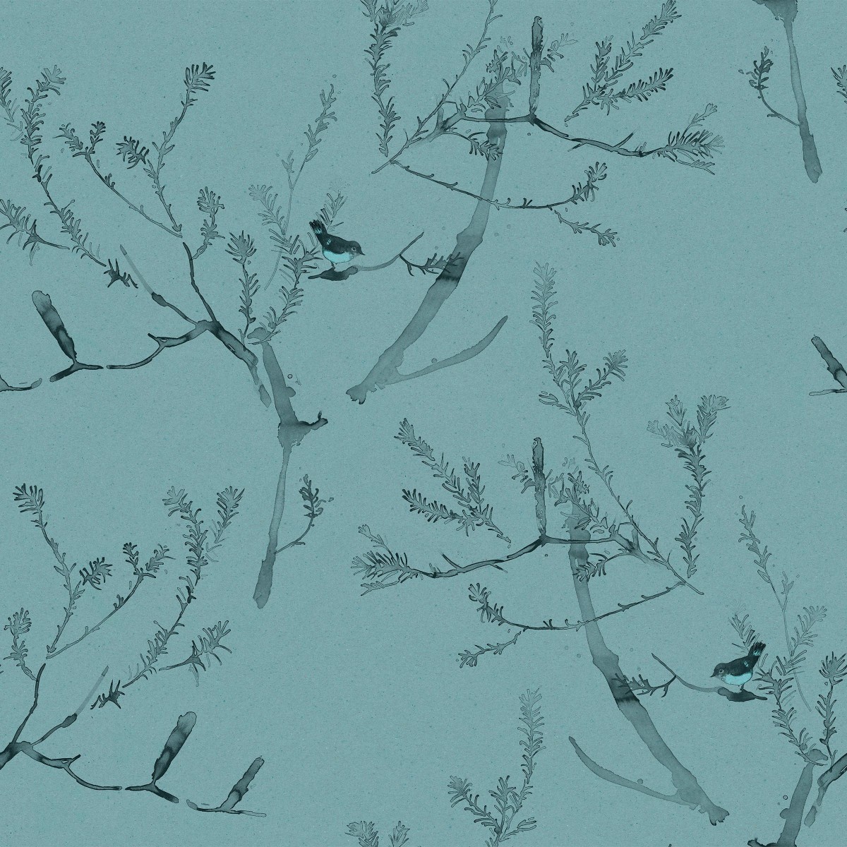 HEATH BANKSIA in Robins Egg