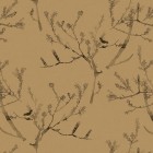 HEATH BANKSIA in Tawny