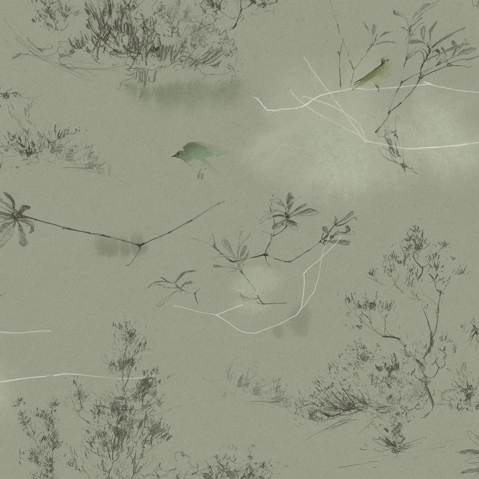CANOPY in Tea Green