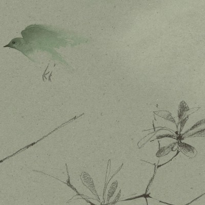 CANOPY in Tea Green CANOPY in Tea Green