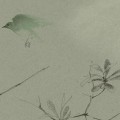 CANOPY in Tea Green CANOPY in Tea Green