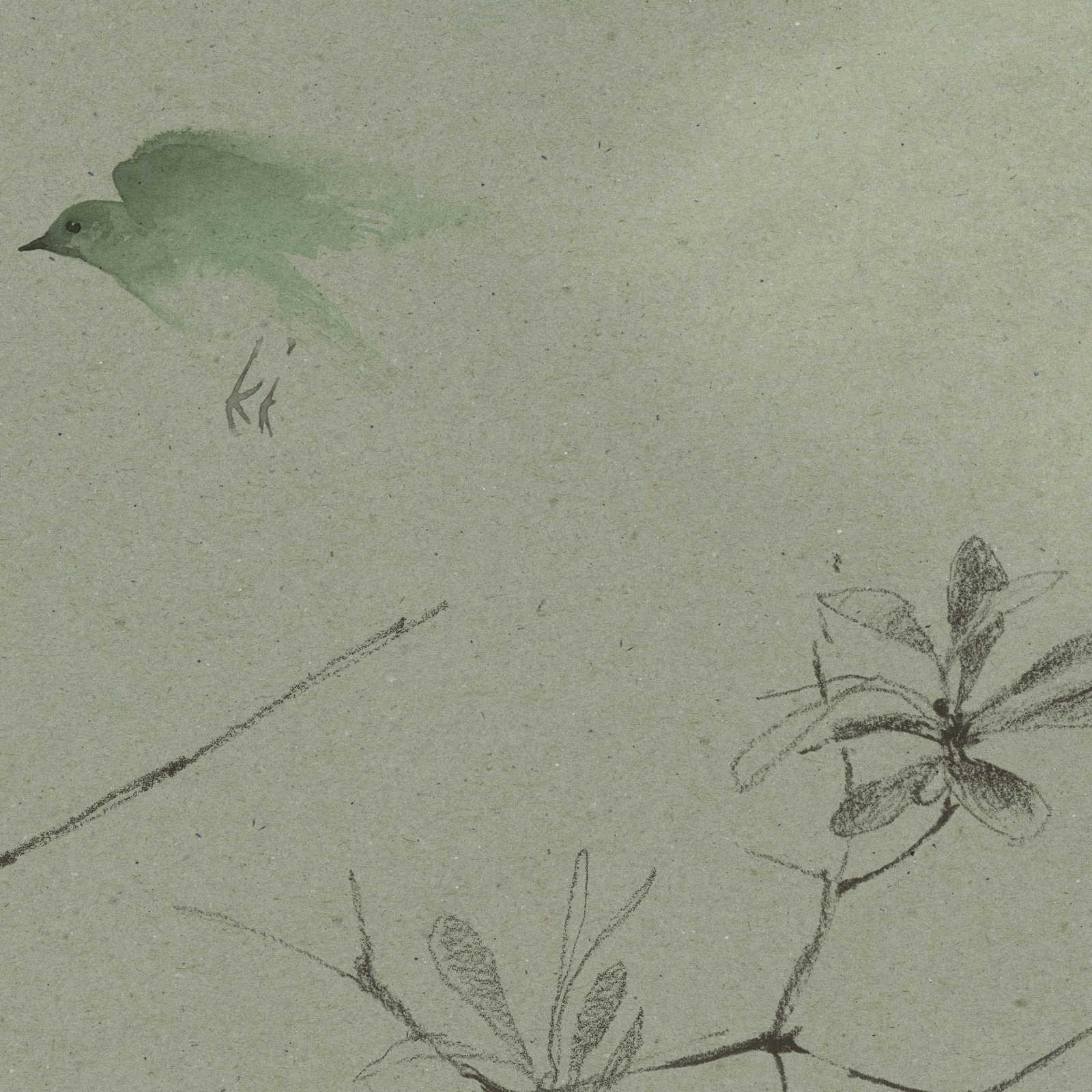 CANOPY in Tea Green