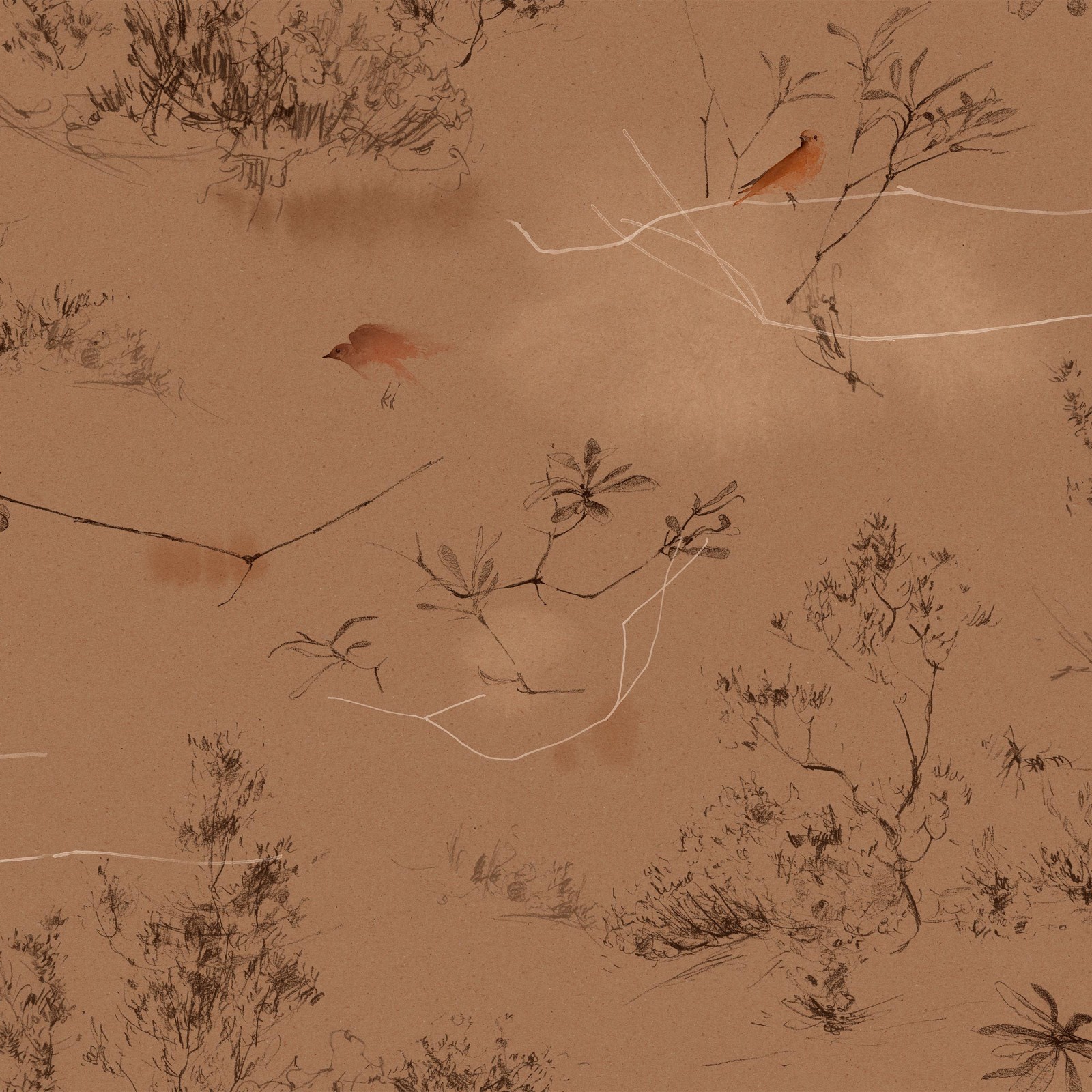 CANOPY in Copper
