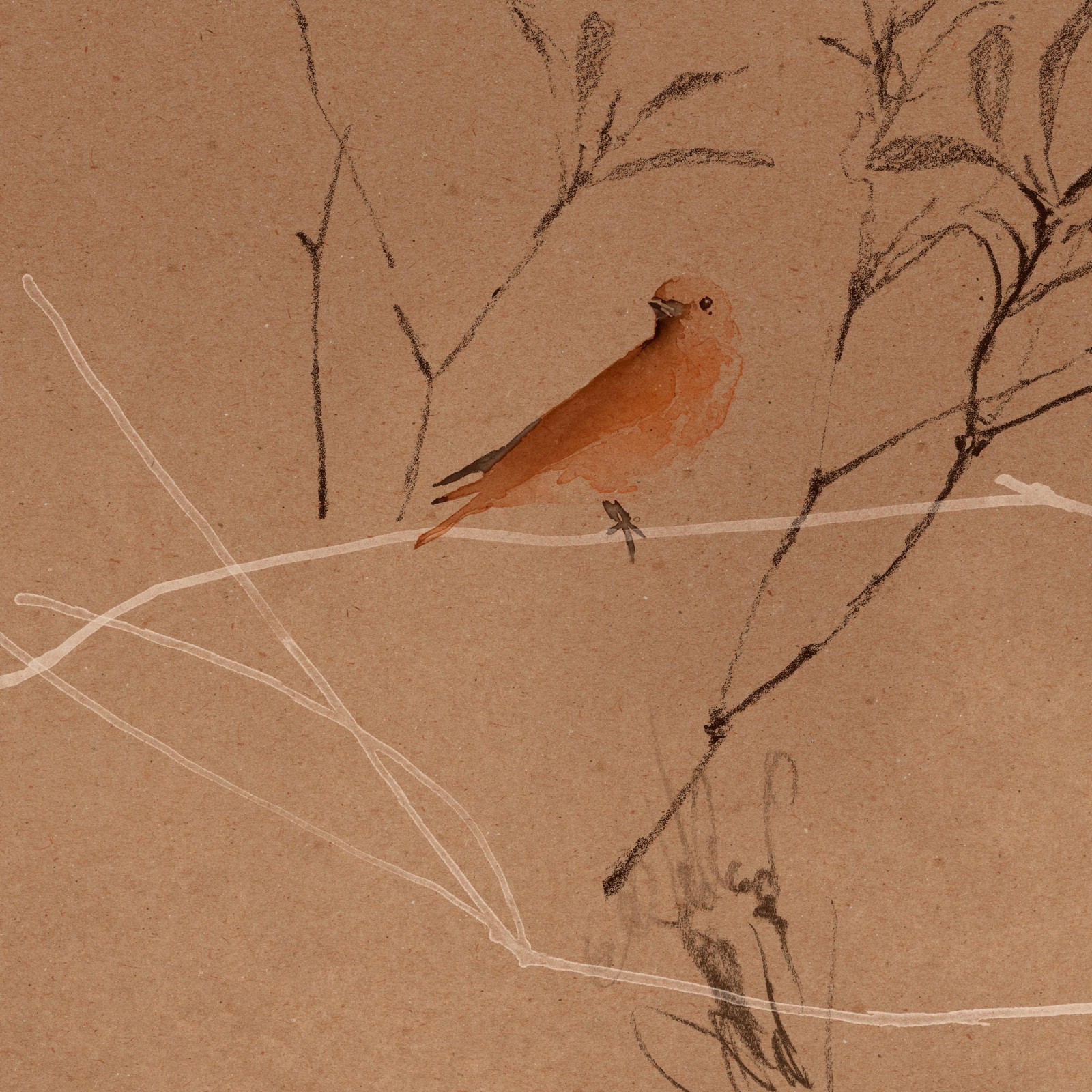 CANOPY in Copper