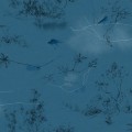 CANOPY in Saxe Blue