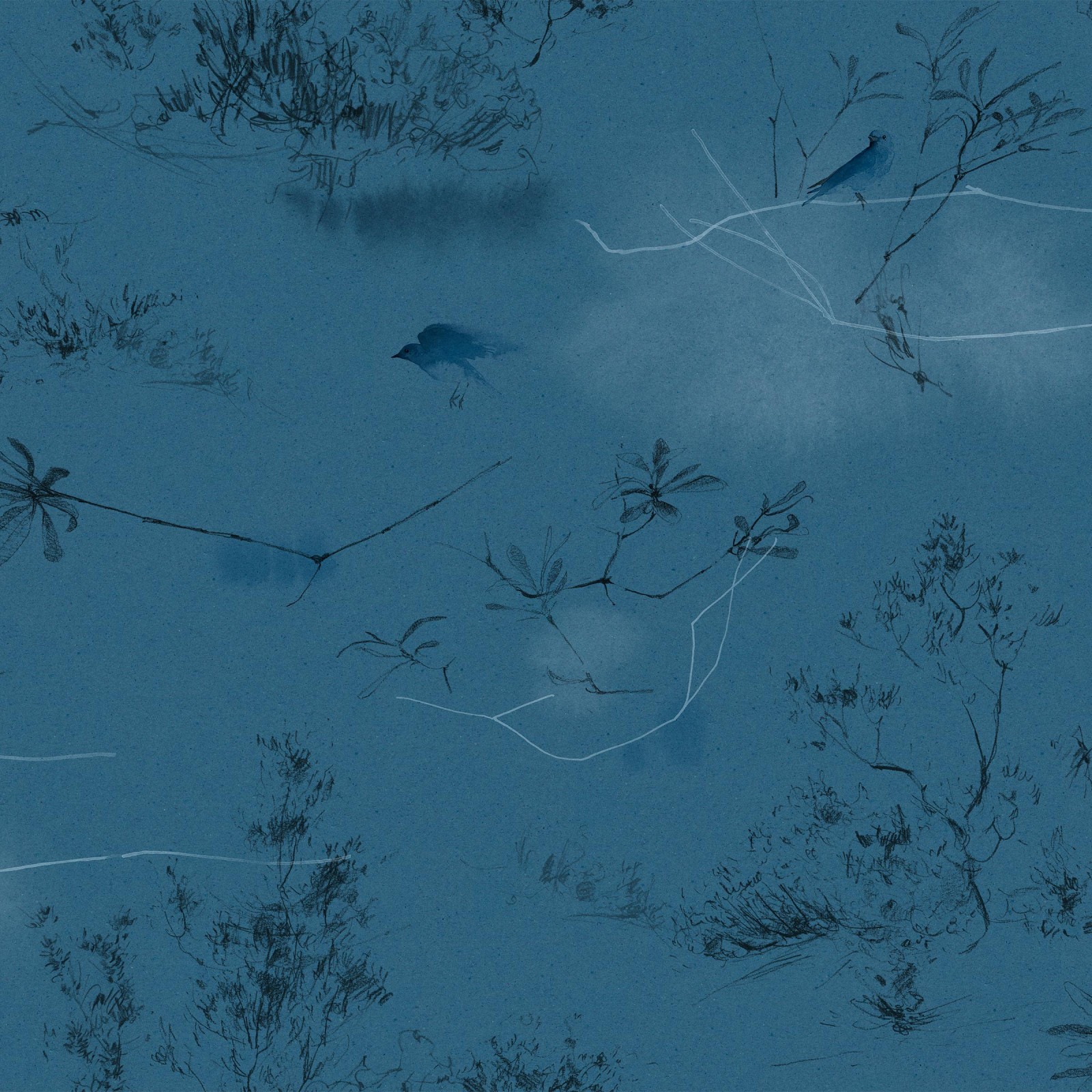 CANOPY in Saxe Blue
