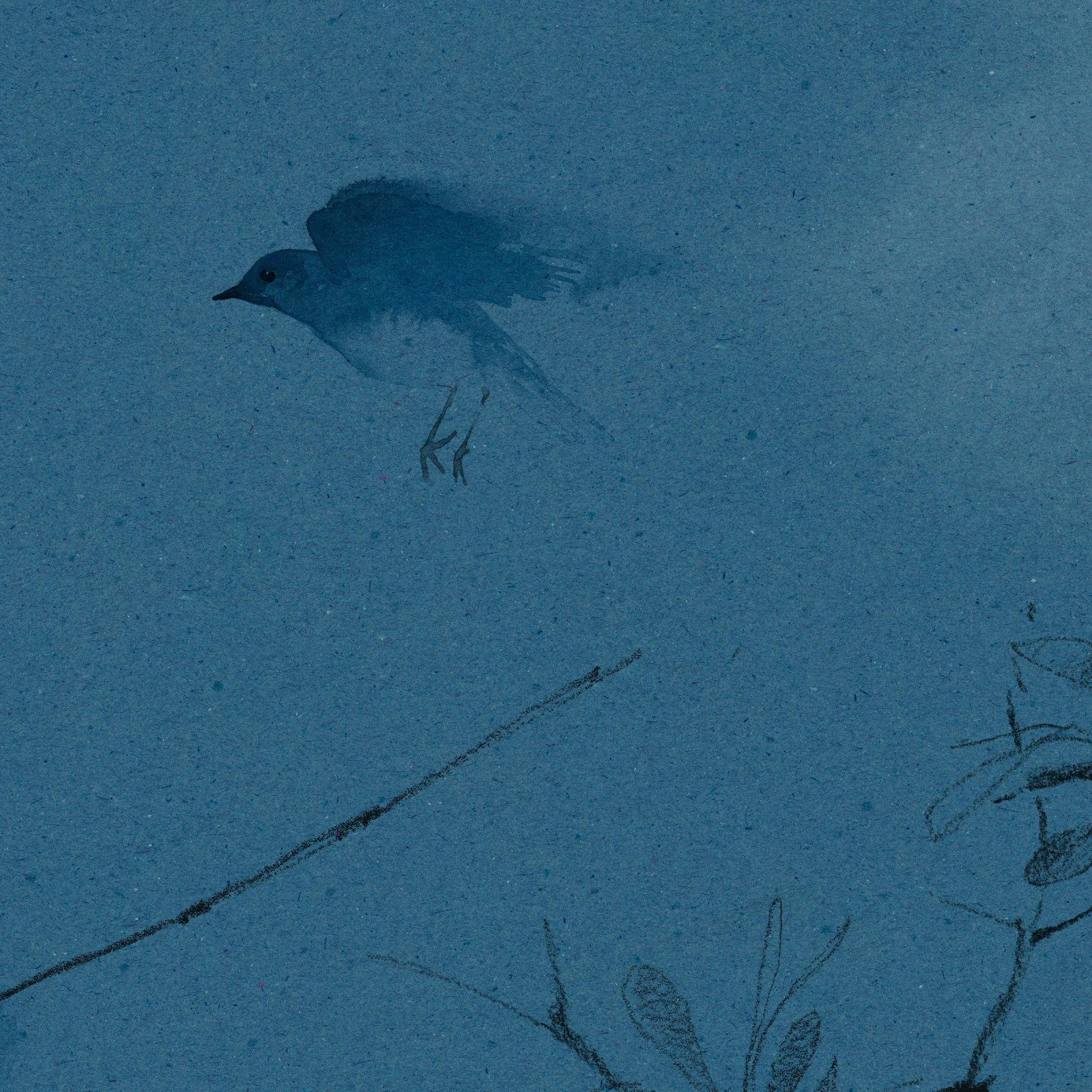 CANOPY in Saxe Blue