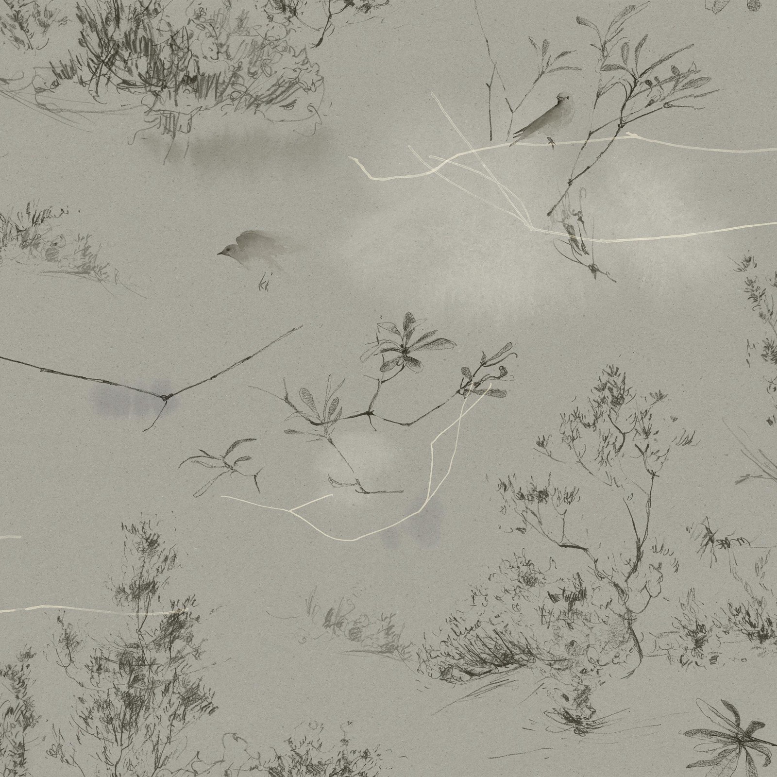 CANOPY in Pewter