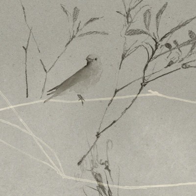 CANOPY in Pewter CANOPY in Pewter