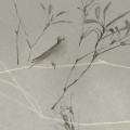 CANOPY in Pewter CANOPY in Pewter