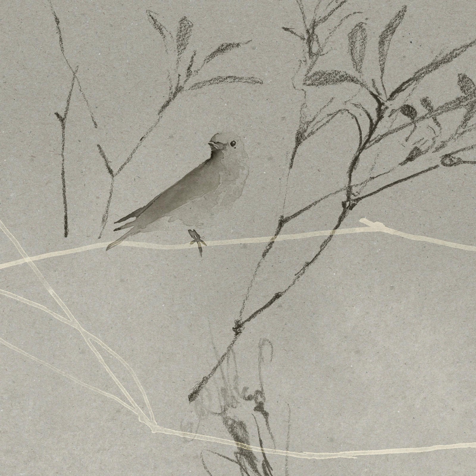 CANOPY in Pewter