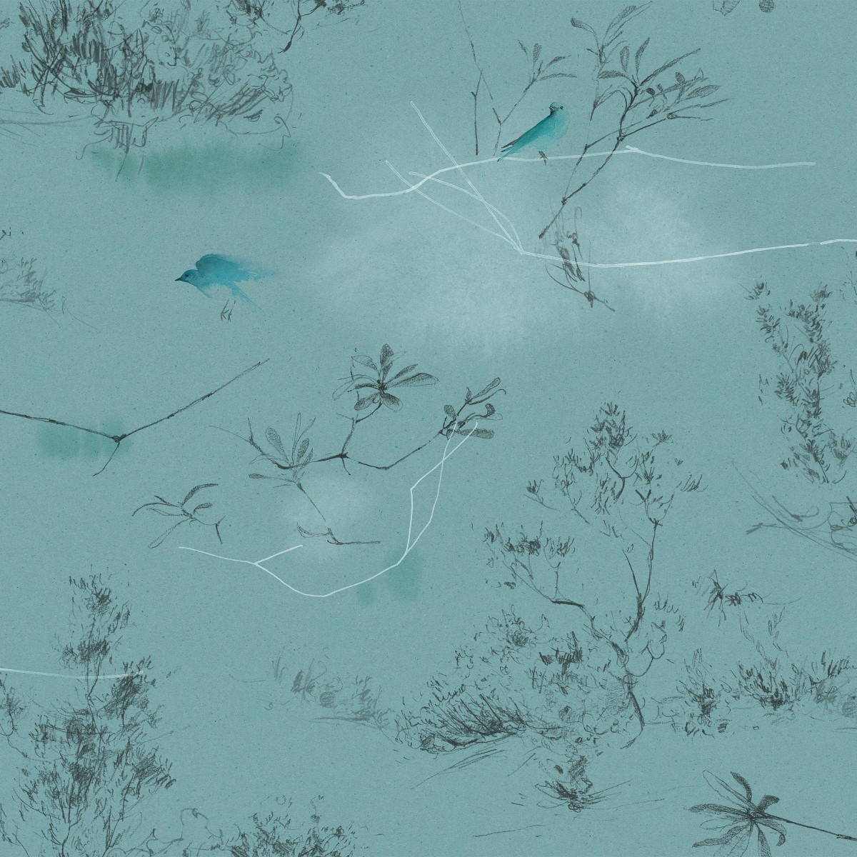 CANOPY in Robin's Egg