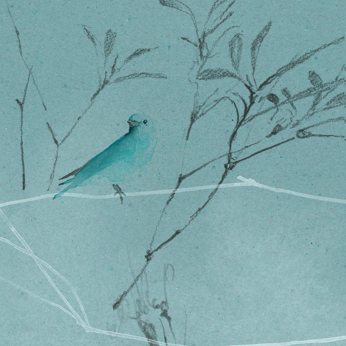 CANOPY in Robin's Egg