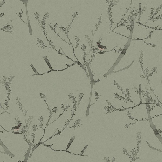 HEATH BANKSIA in Tea Green