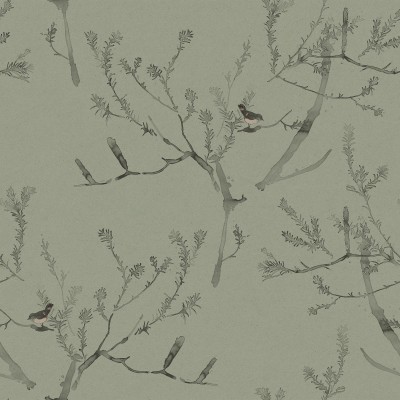 HEATH BANKSIA in Tea Green HEATH BANKSIA in Tea Green