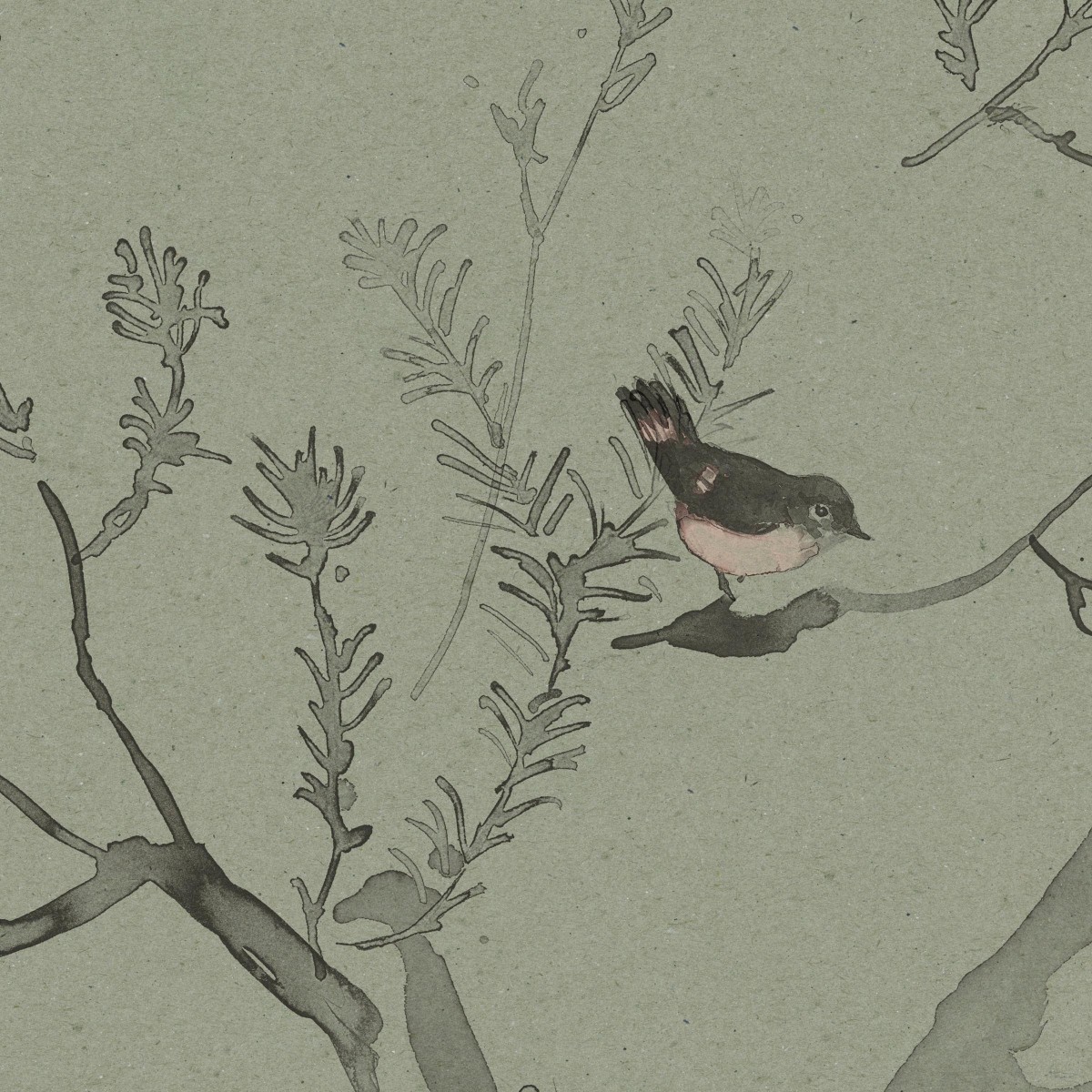 HEATH BANKSIA in Tea Green